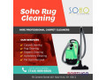 soho-rug-cleaning-rug-cleaning-nyc-carpet-cleaning-nyc-small-0