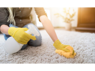 Cleaning Services in Arlington WA