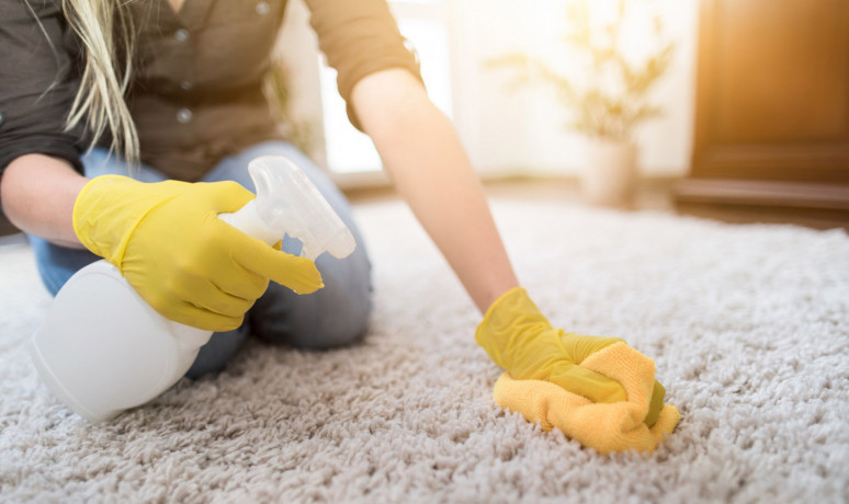 cleaning-services-in-arlington-wa-big-0